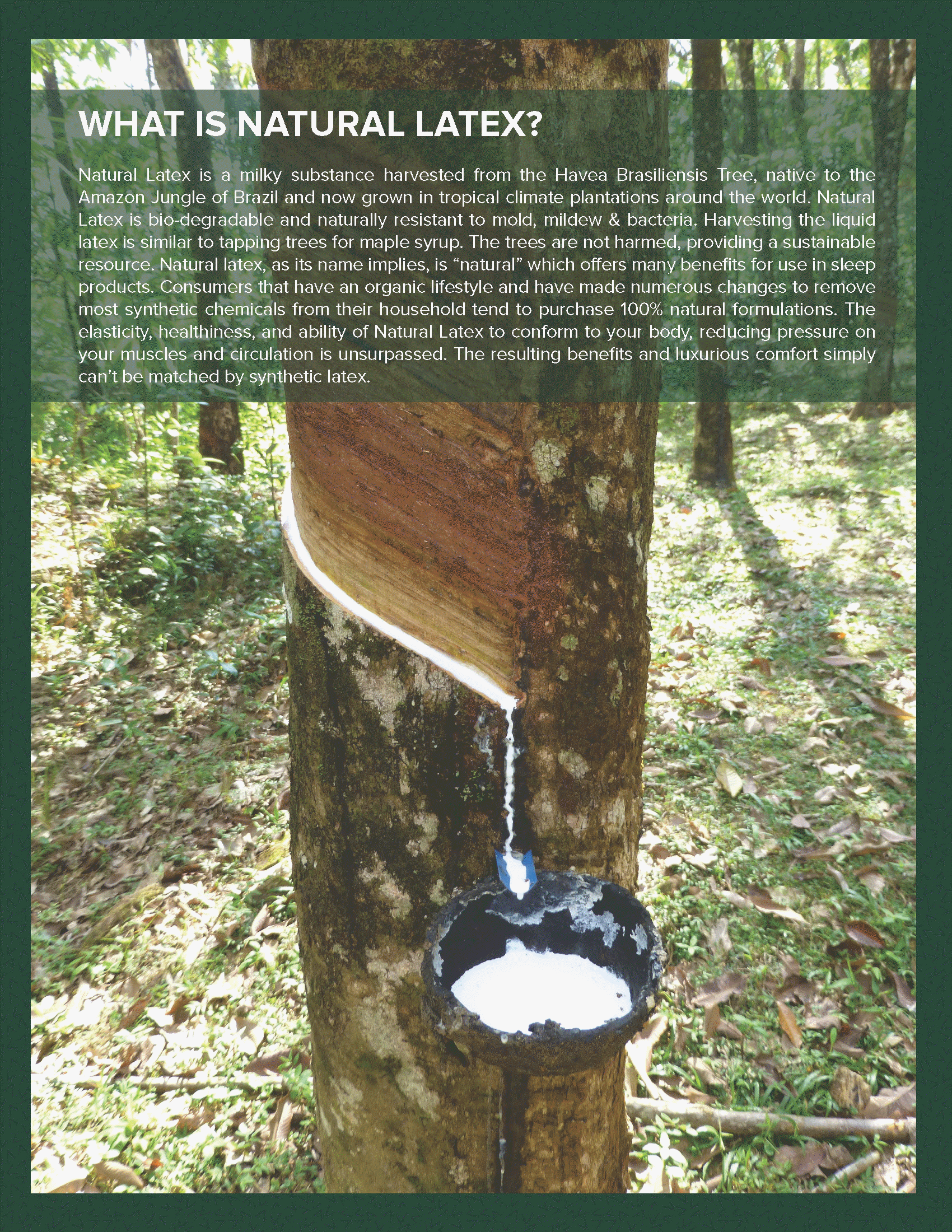 Vista adjustable hospital bed mattresses